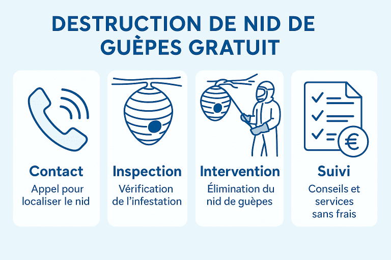 Infographie en français expliquant les étapes de destruction d’un nid de guêpes